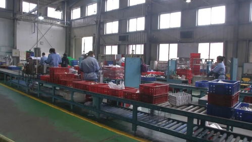 福建铁王 自动化设备助力高效生产的先锋力量